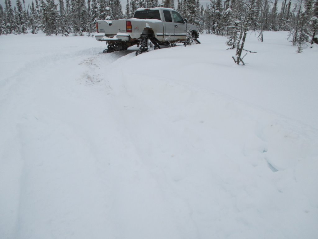 muskeg snow